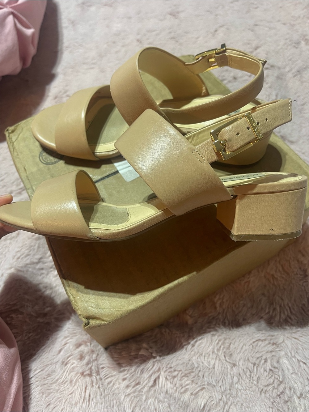 Alex Marie Nude Beige Block Heel Sandals